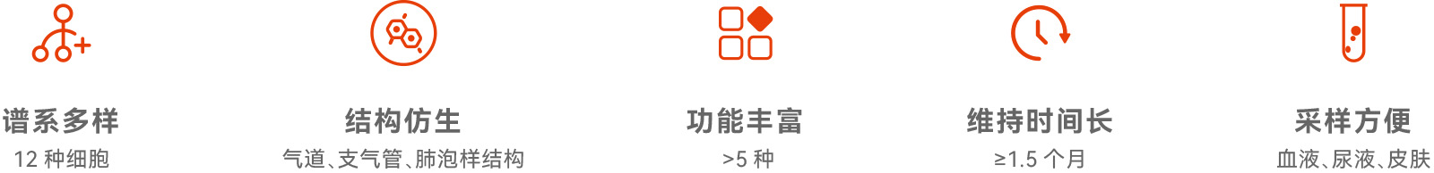 iLung™(图1)
