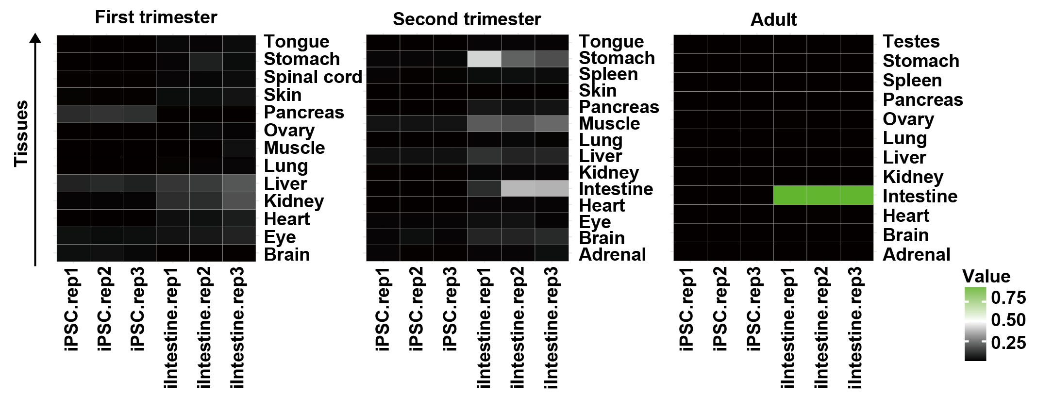 即用型iPSC源小肠类器官 (s-model),3d0130(图4) 即用型iPSC源小肠类器官 (s-model),3d0130(图4)